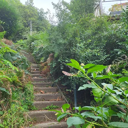 Lägenhet Le Bellevue - Beaux Avec Vue Splendide Palaiseau